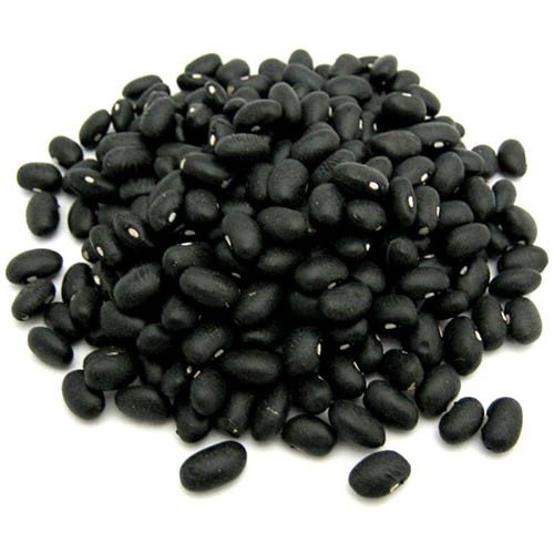 Poroto negro