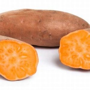 Camote