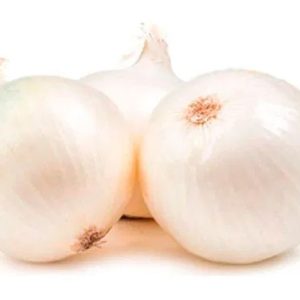 Cebolla blanca