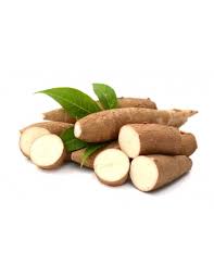 Yuca
