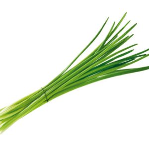 Cibulet